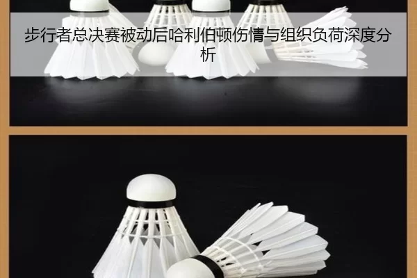 bu-xing-zhe-zong-jue-sai-bei-dong-hou-ha-li-bo-dun-shang-qing-yu-zu-zhi-fu-he-shen-du-fen-xi-2-923.jpg